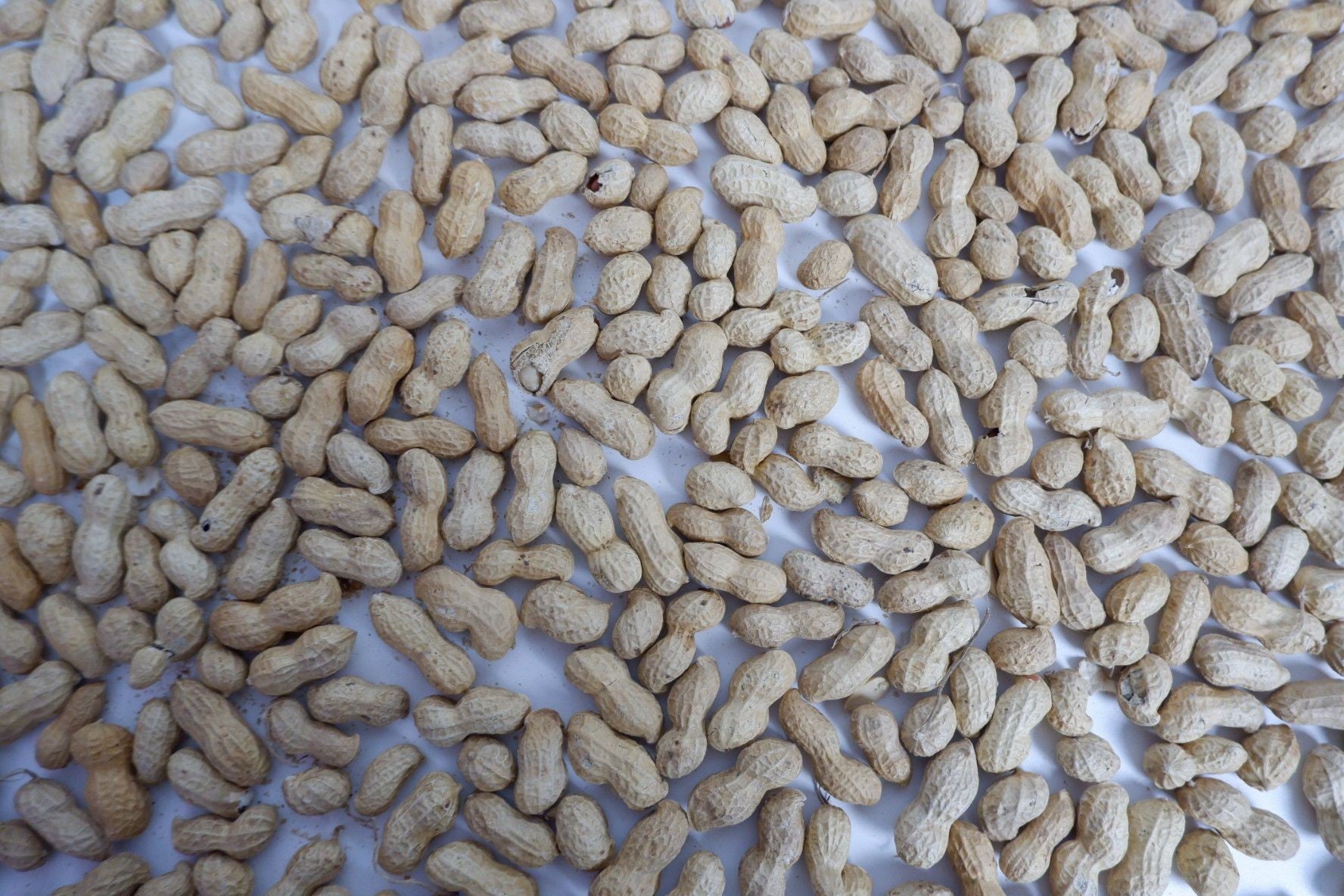 How to Natural Stop My Peanut Butter from Separating